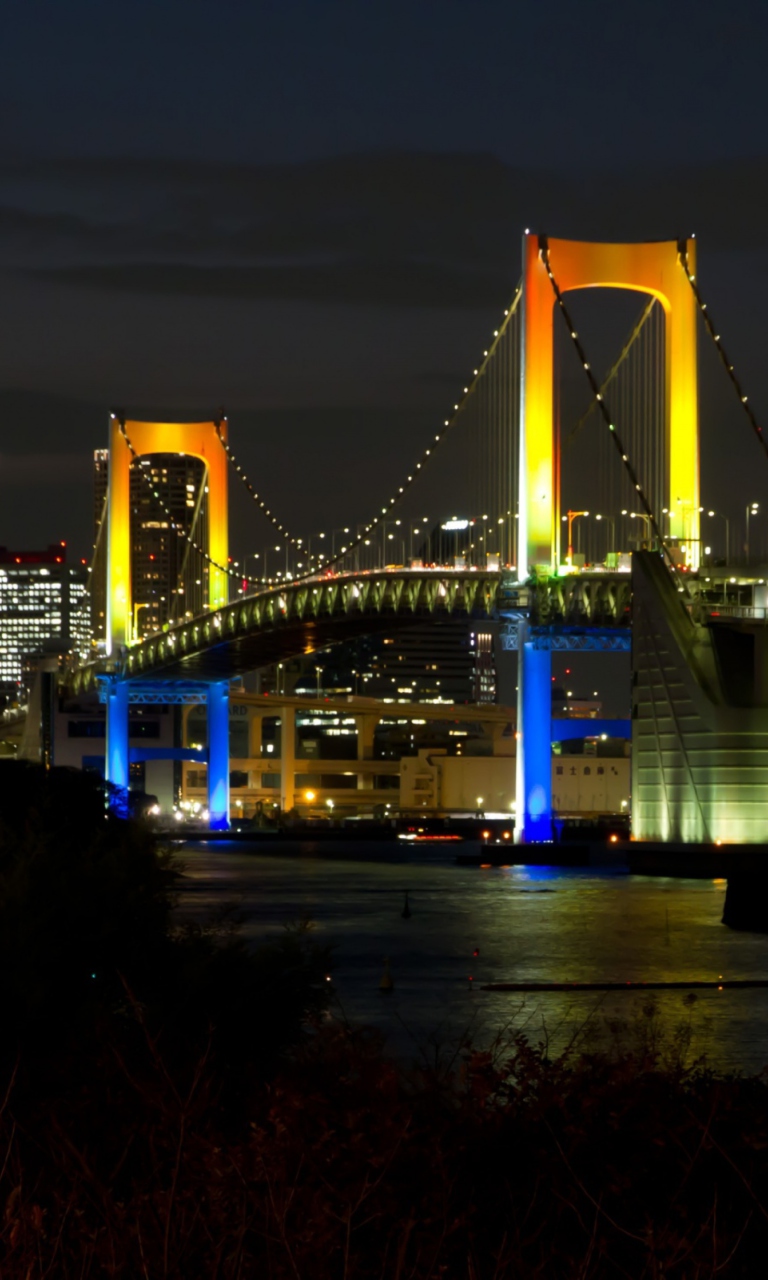 Sfondi Tokyo Rainbow Bridge 768x1280