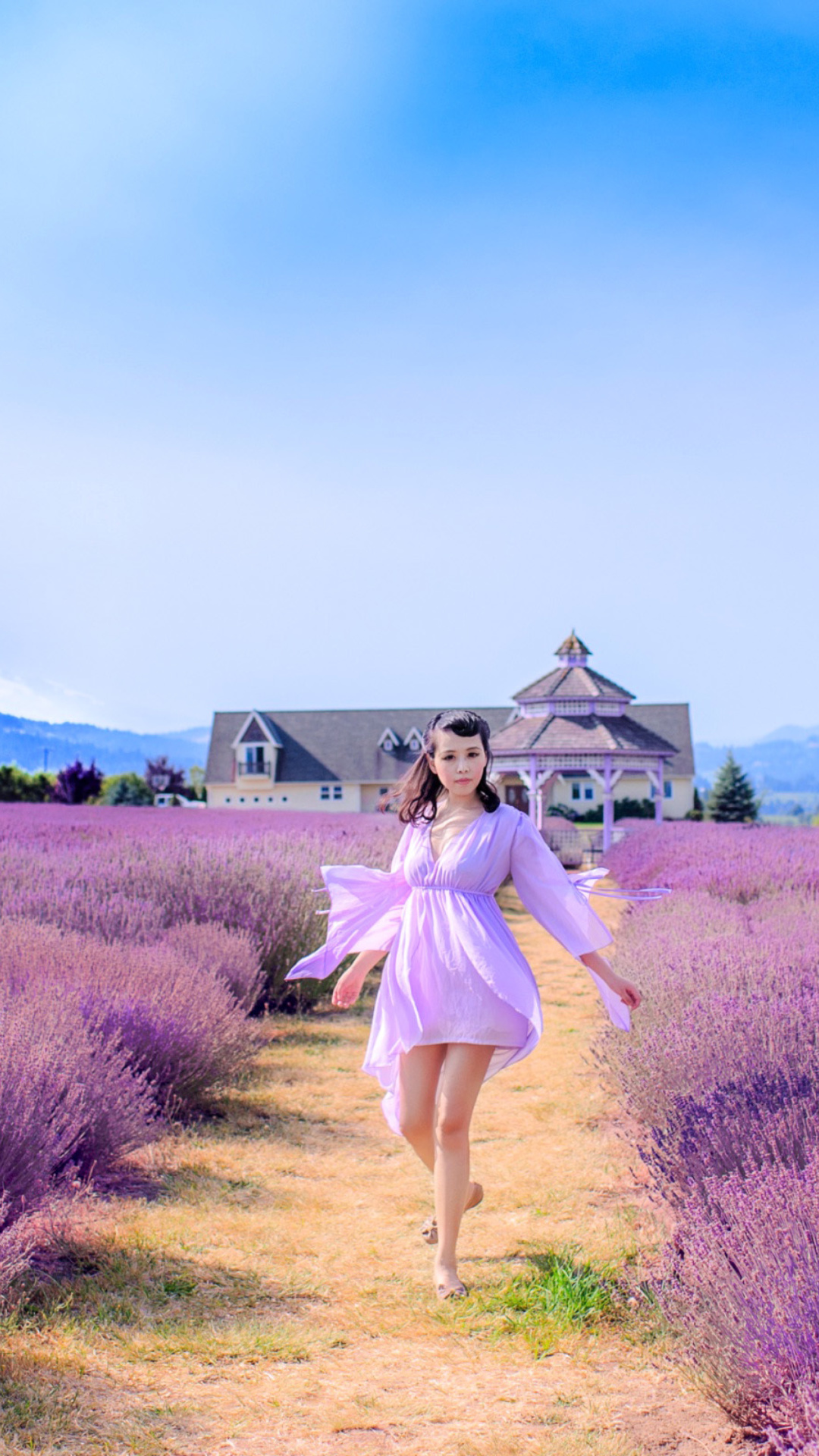 Summertime on Lavender field wallpaper 1080x1920