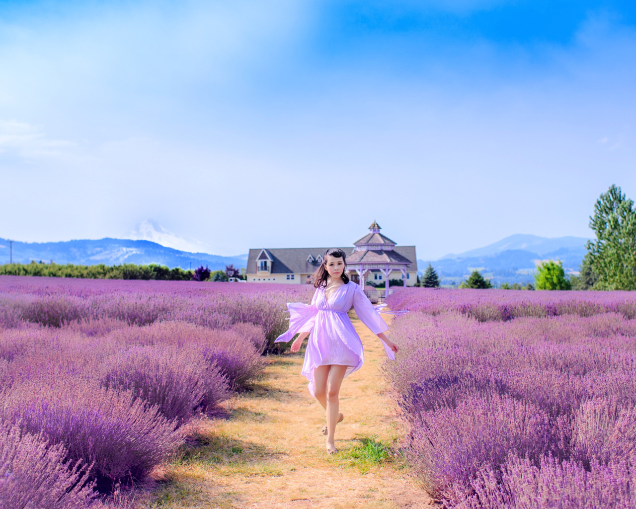 Обои Summertime on Lavender field 1280x1024