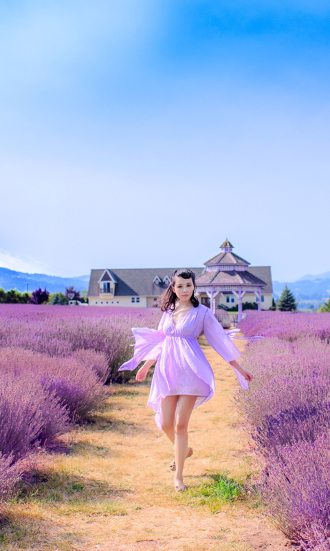 Summertime on Lavender field wallpaper 480x800