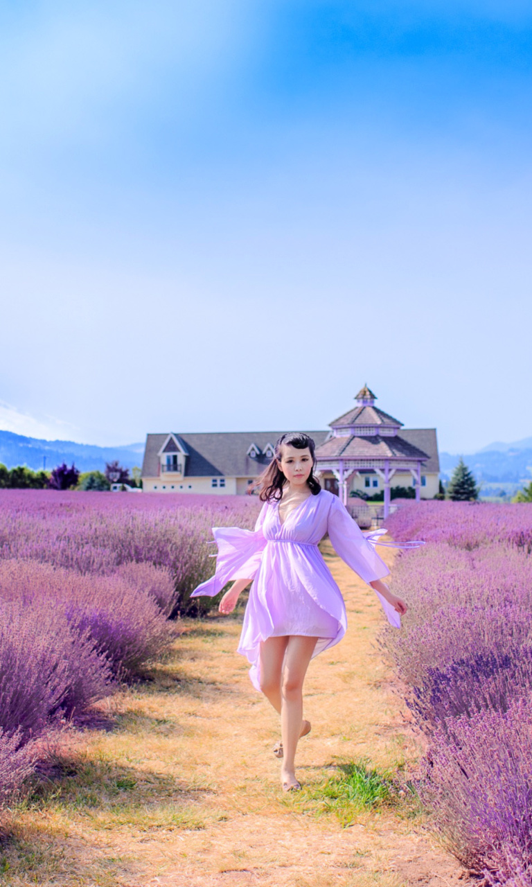 Sfondi Summertime on Lavender field 768x1280