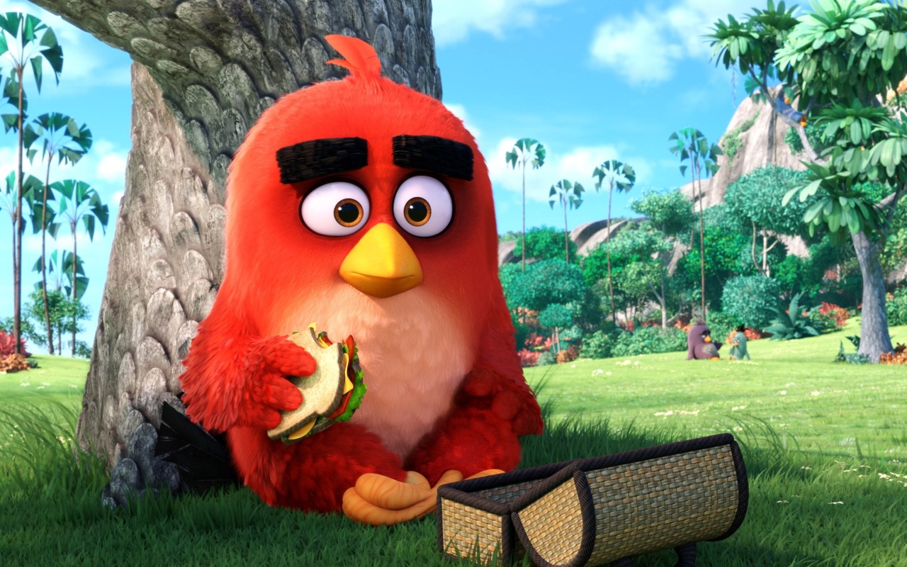 Обои Angry Birds 1280x800