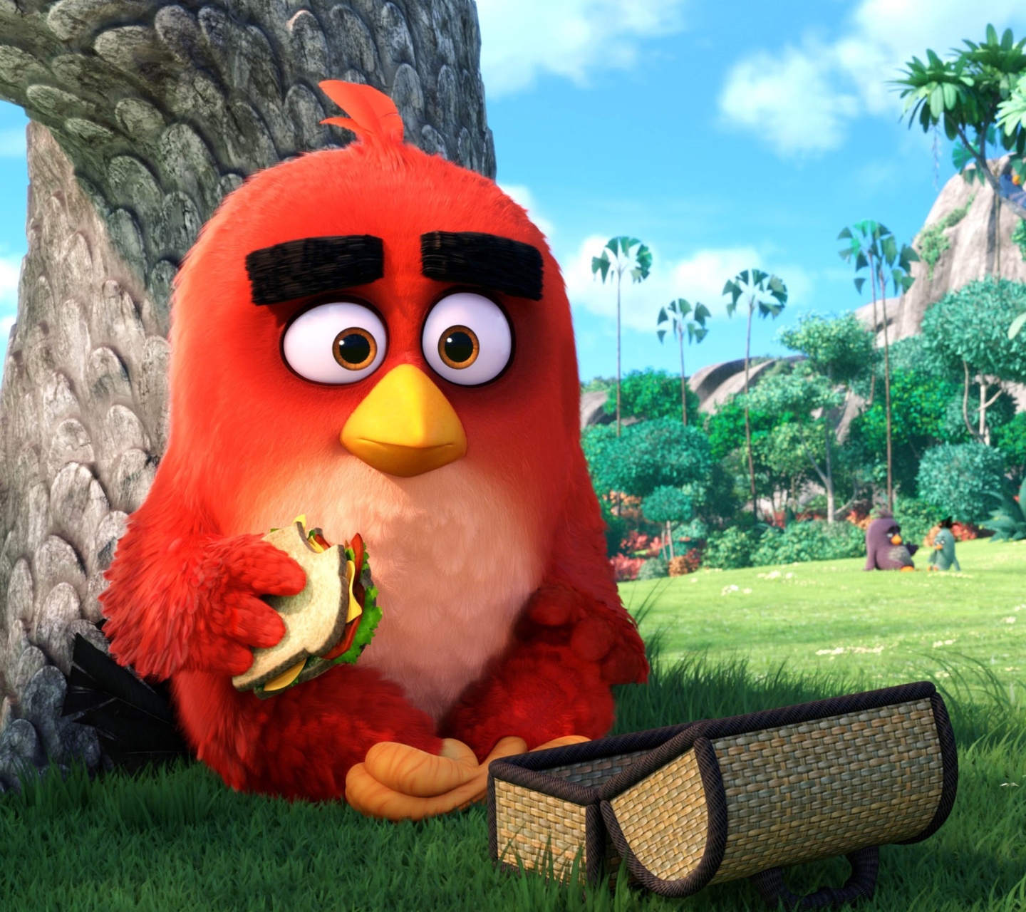 Обои Angry Birds 1440x1280