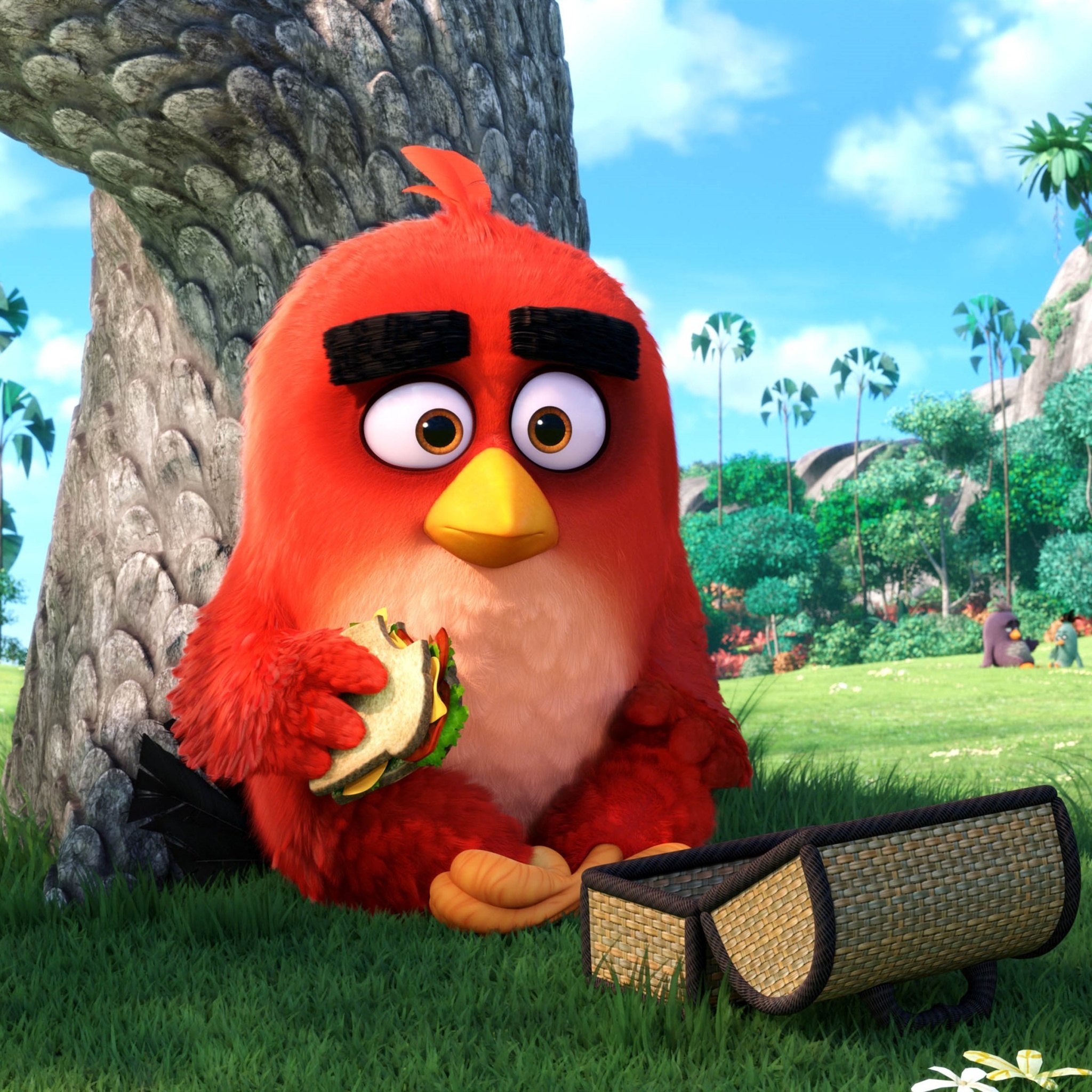 Fondo de pantalla Angry Birds 2048x2048