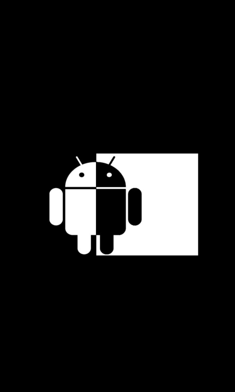 Black And White Android wallpaper 480x800