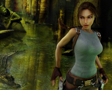 Das Lara Croft: Tomb Raider Wallpaper 220x176