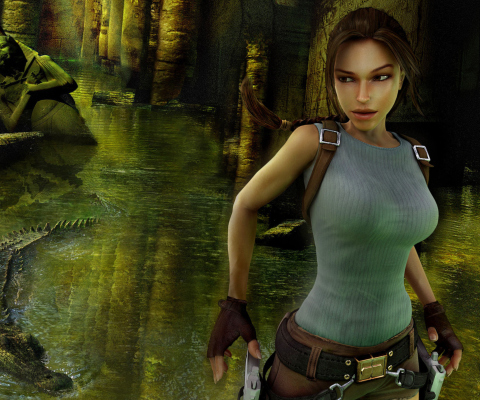 Das Lara Croft: Tomb Raider Wallpaper 480x400