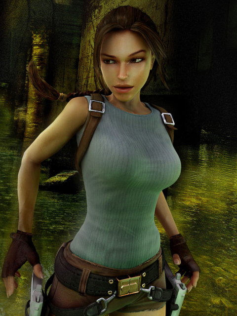 Das Lara Croft: Tomb Raider Wallpaper 480x640