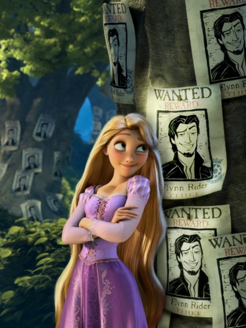 Fondo de pantalla Tangled Wanted Reward 480x640