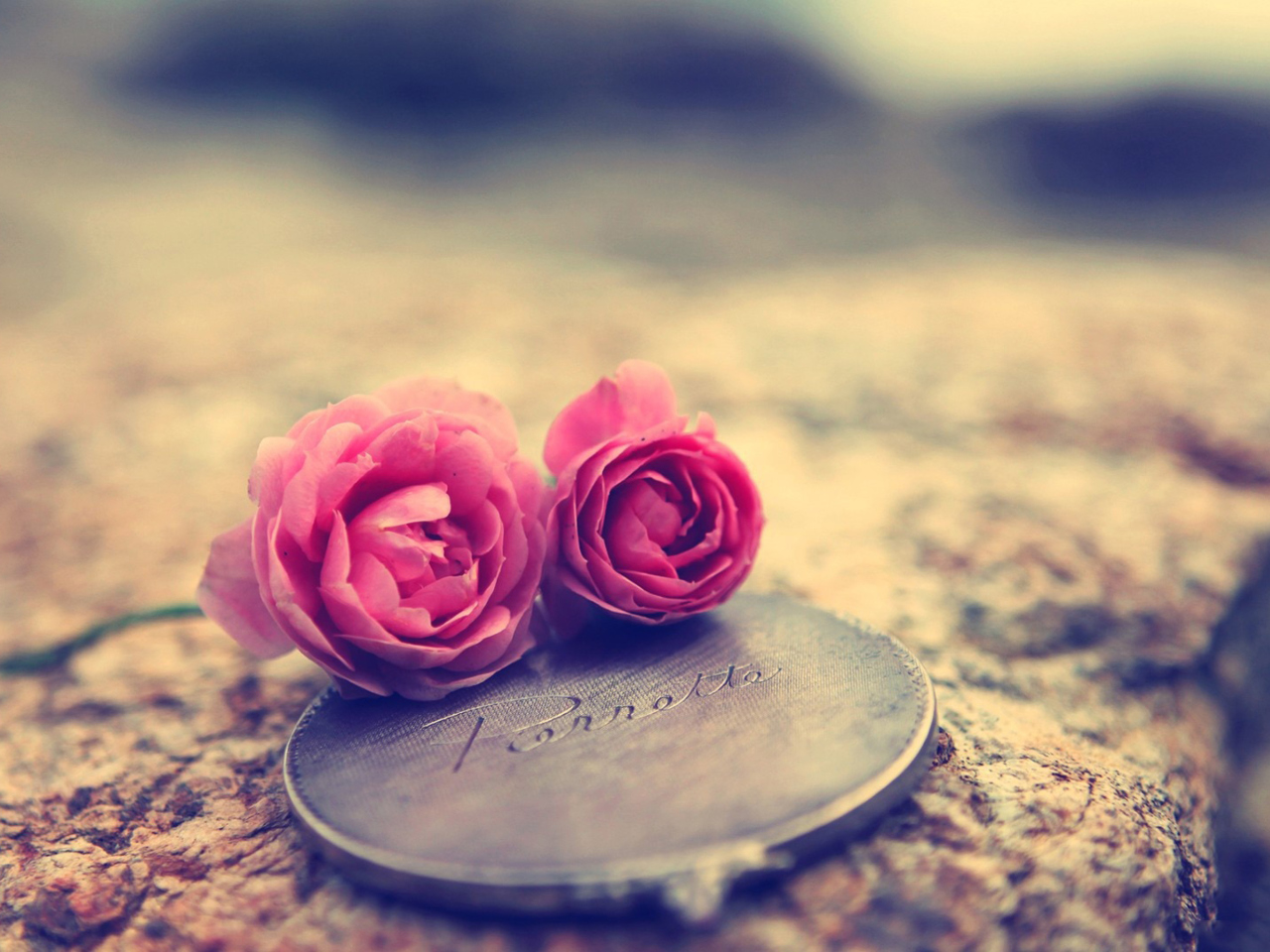 Das Miniature Roses Wallpaper 1280x960