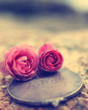 Das Miniature Roses Wallpaper 128x160