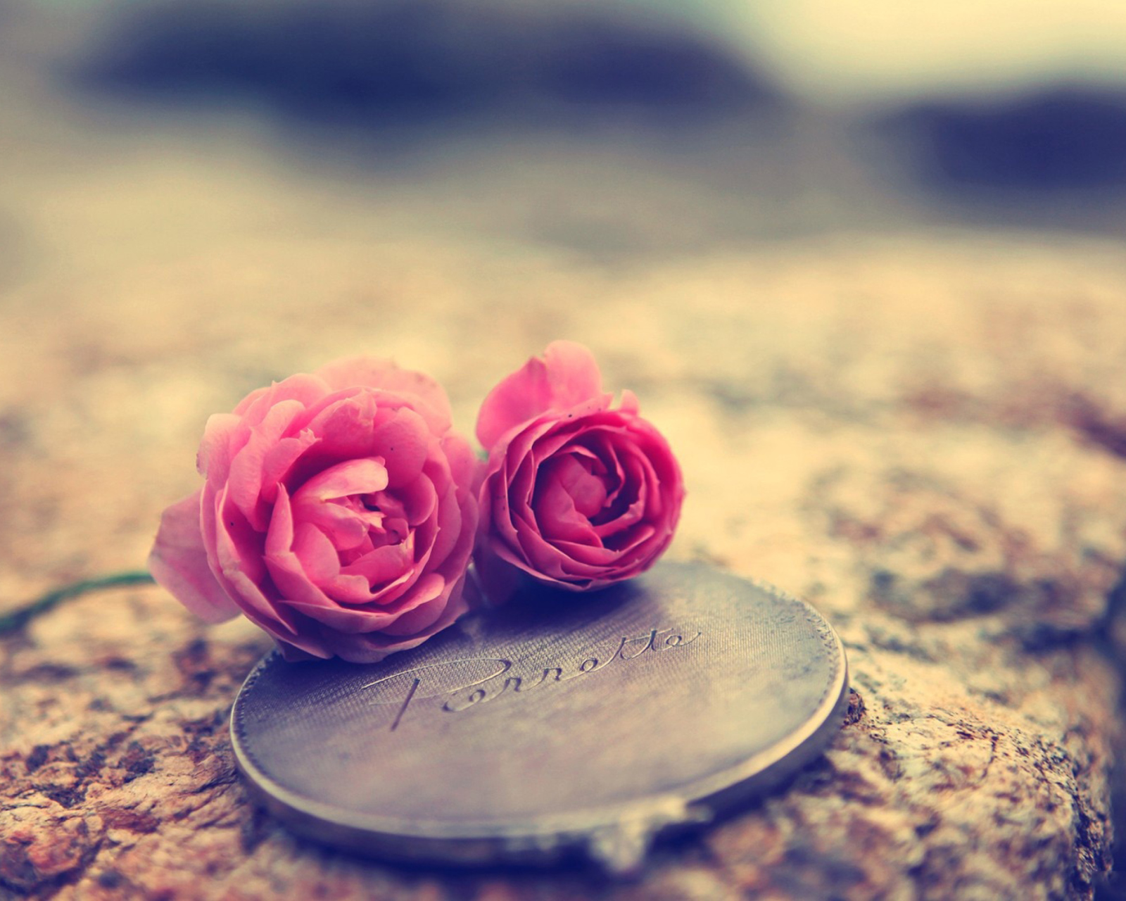 Miniature Roses wallpaper 1600x1280