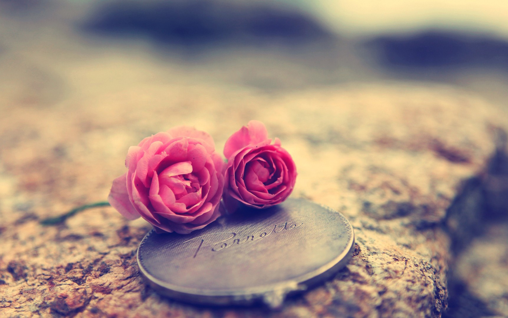Fondo de pantalla Miniature Roses 1680x1050