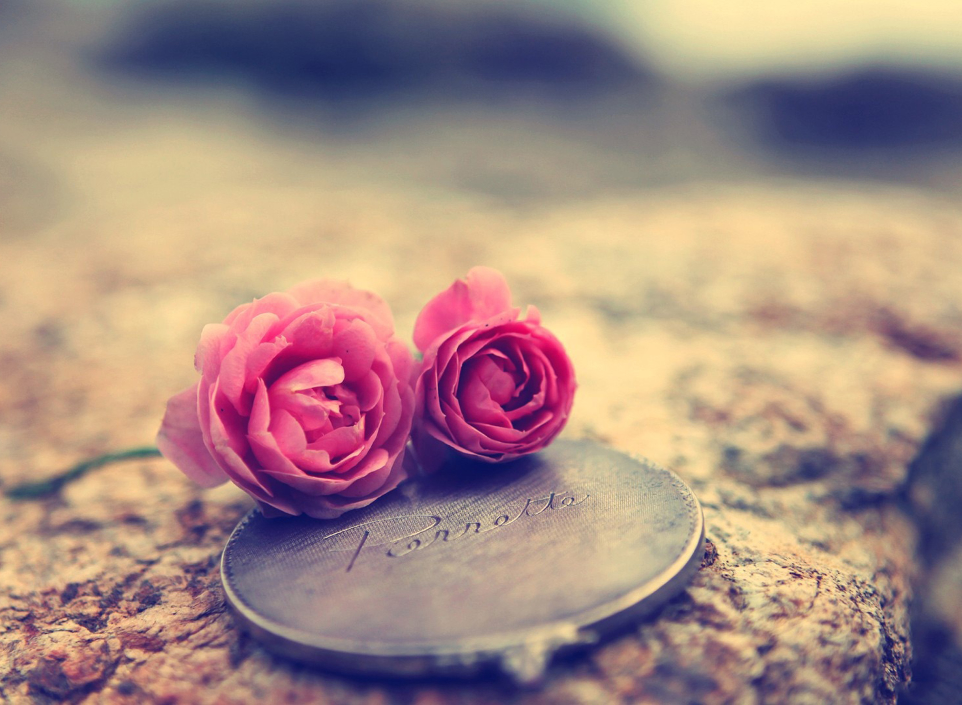 Das Miniature Roses Wallpaper 1920x1408