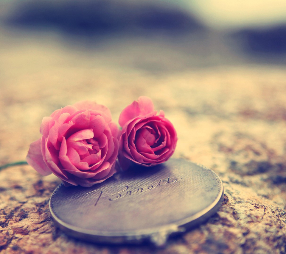 Das Miniature Roses Wallpaper 960x854