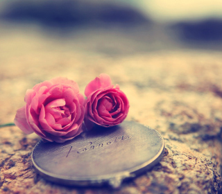 Miniature Roses Background for 2048x2048