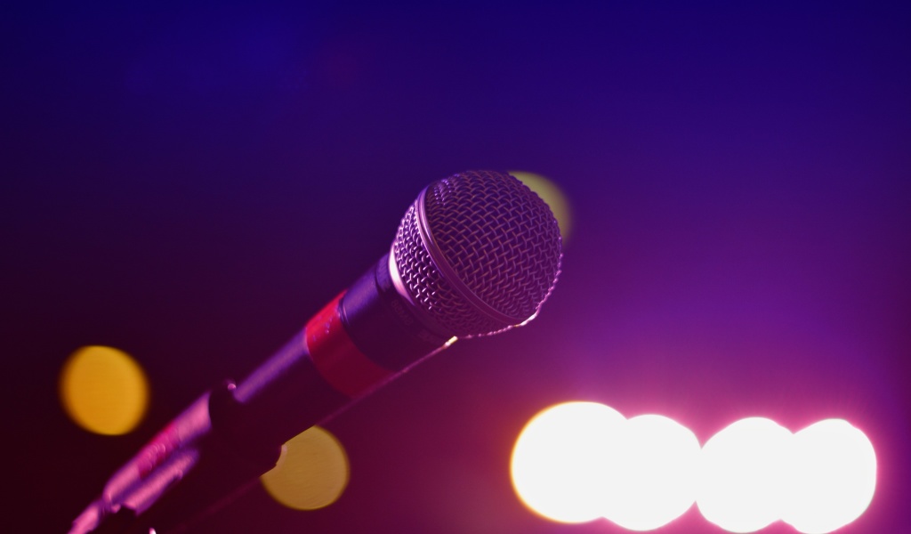 Microphone for Concerts wallpaper 1024x600