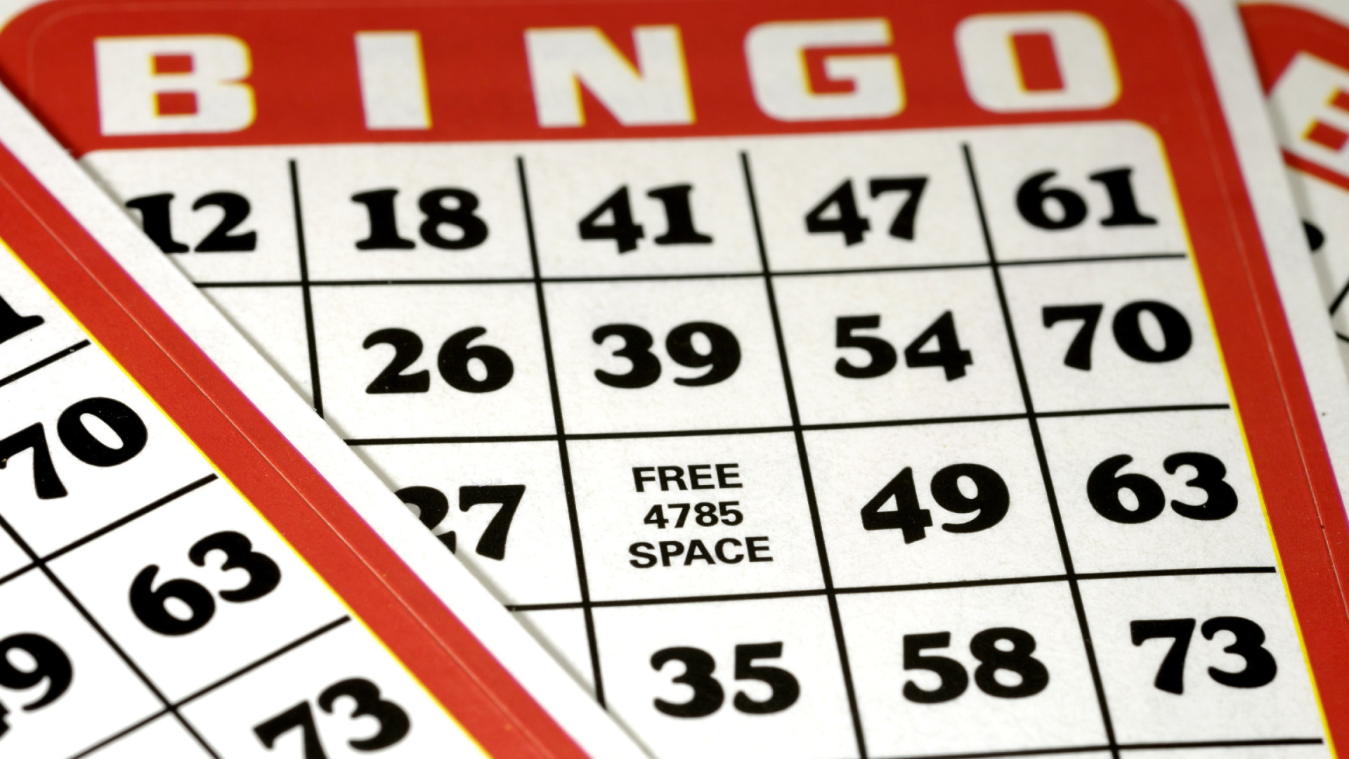 Bingo wallpaper 1920x1080