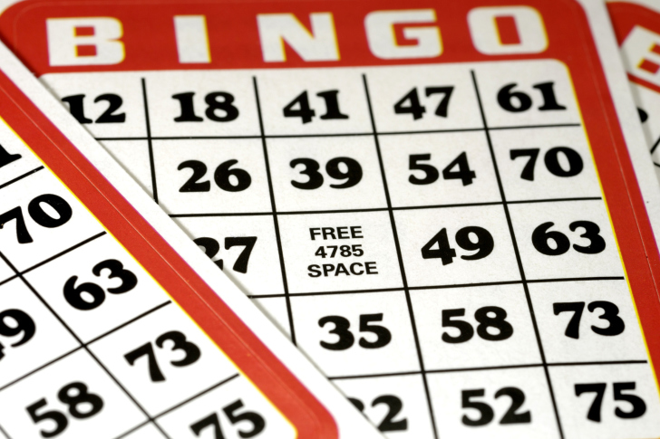 Обои Bingo