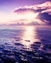 Sunrise Above Sea screenshot #1 176x220