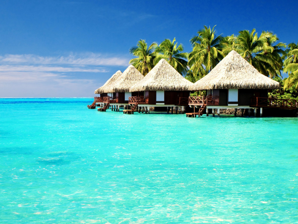 Maldives Islands best Destination for Honeymoon wallpaper 1152x864