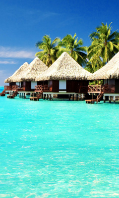 Das Maldives Islands best Destination for Honeymoon Wallpaper 240x400