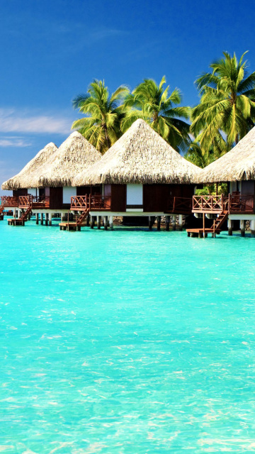 Обои Maldives Islands best Destination for Honeymoon 360x640