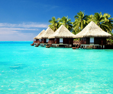 Обои Maldives Islands best Destination for Honeymoon 480x400
