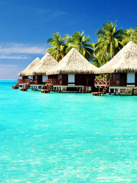 Das Maldives Islands best Destination for Honeymoon Wallpaper 480x640