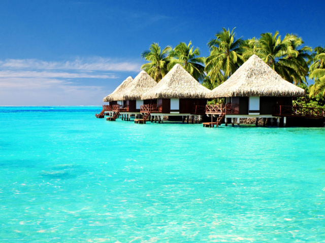 Das Maldives Islands best Destination for Honeymoon Wallpaper 640x480