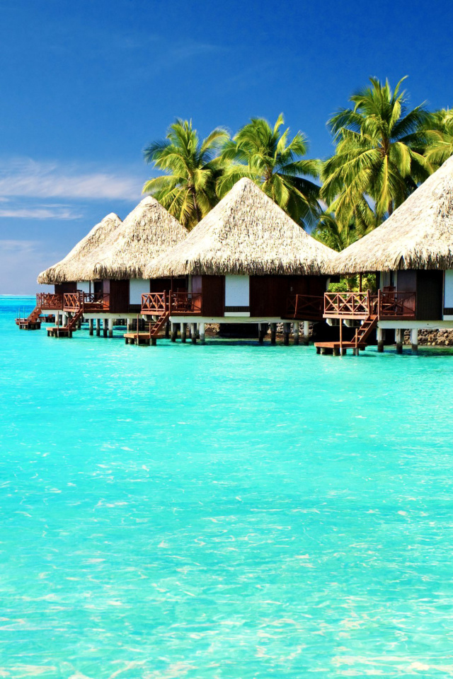 Das Maldives Islands best Destination for Honeymoon Wallpaper 640x960