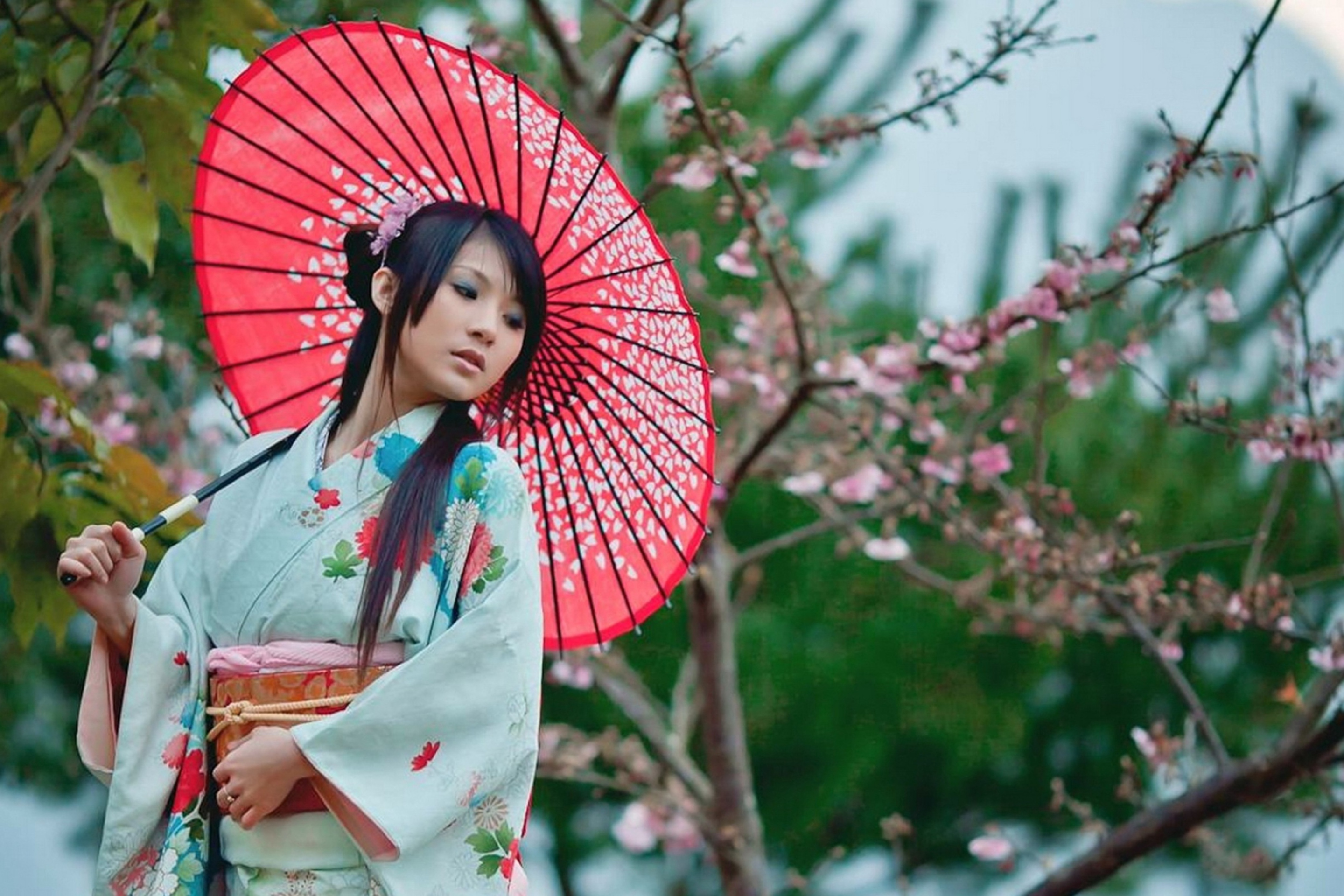 Das Girl In Kimono And Japanese Umbrella Wallpaper 2880x1920