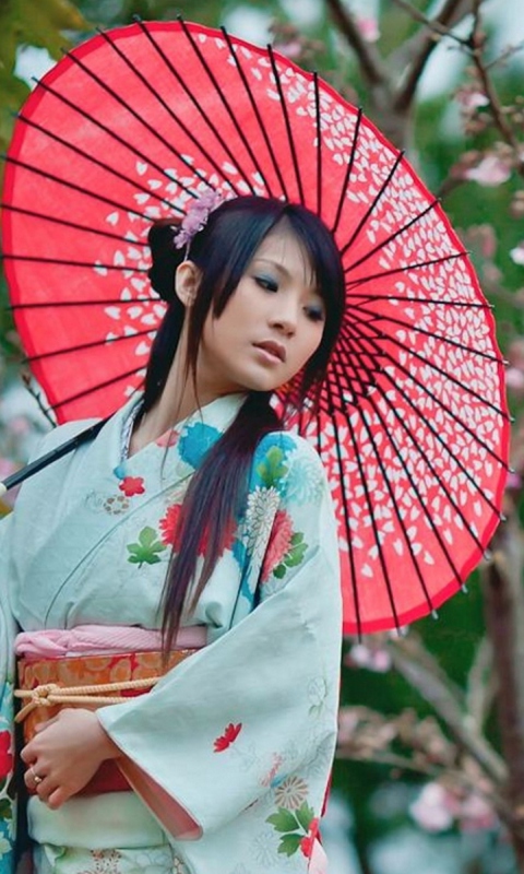 Das Girl In Kimono And Japanese Umbrella Wallpaper 480x800
