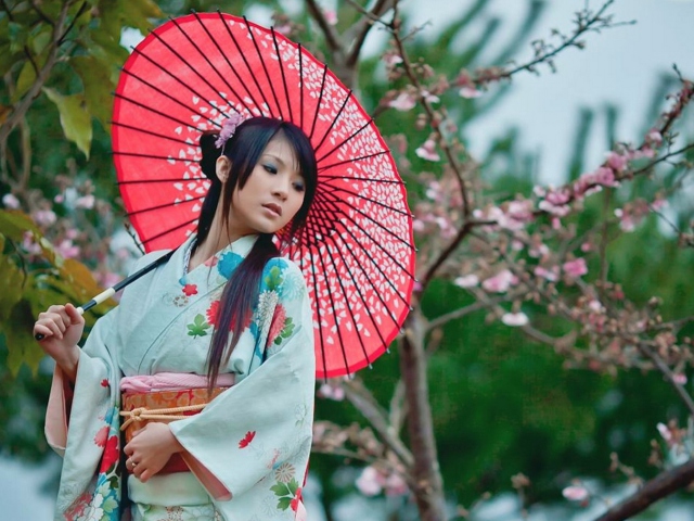 Обои Girl In Kimono And Japanese Umbrella 640x480