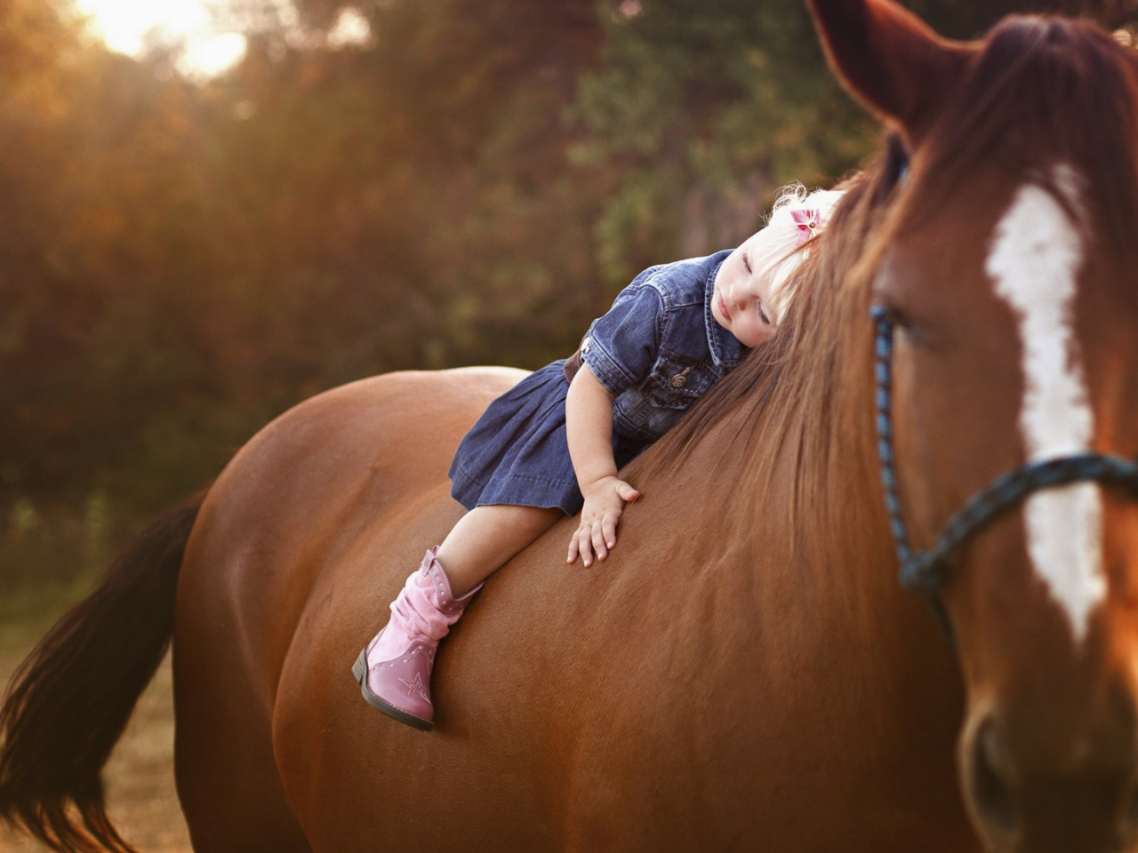 Blonde Child On Horse wallpaper 1280x960