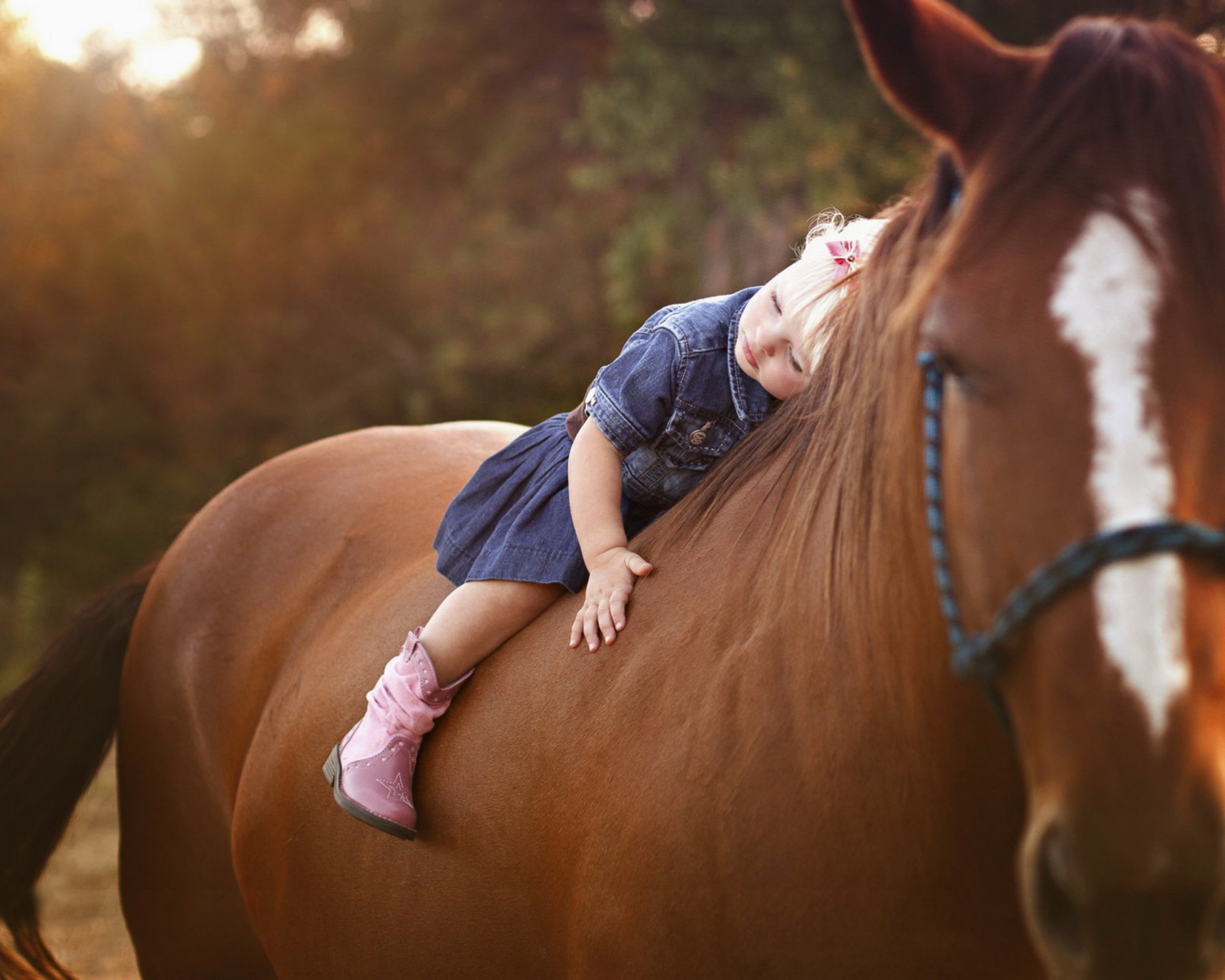 Fondo de pantalla Blonde Child On Horse 1600x1280
