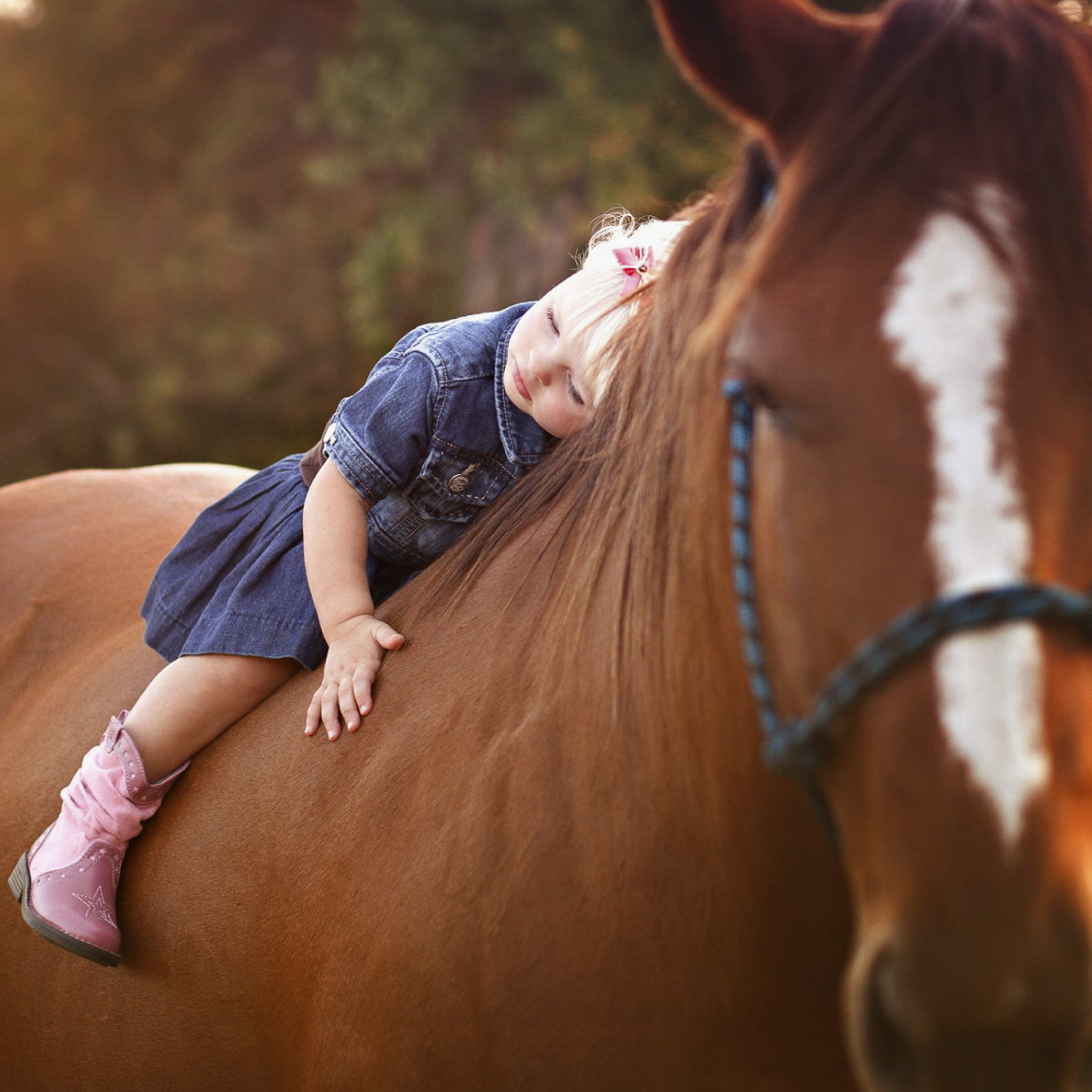 Девушка обнимает лошадь сидя верхом