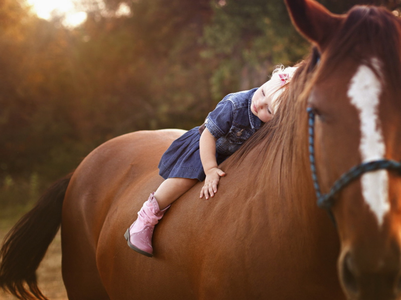 Sfondi Blonde Child On Horse 800x600