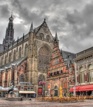 Haarlem Background for Nokia Asha 310