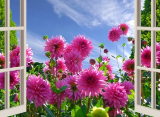 Beautiful Morning - Obrázkek zdarma pro Android 540x960