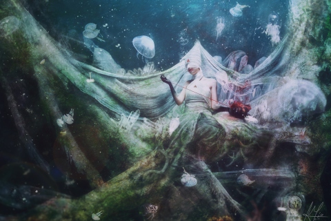 Das Underwater Abstraction Wallpaper 480x320