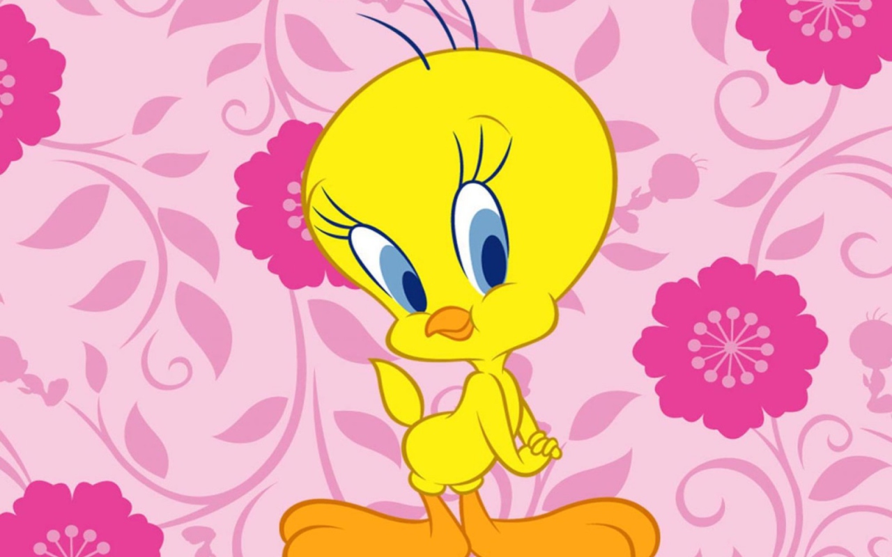 Обои Free Tweety 1280x800