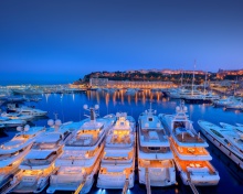 Fondo de pantalla Monaco Hercules Port 220x176