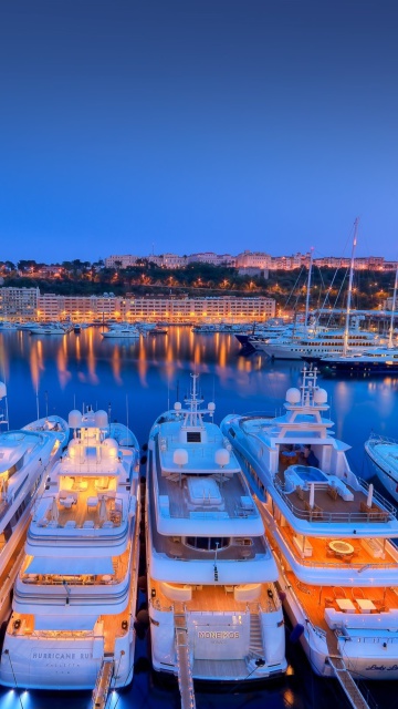 Das Monaco Hercules Port Wallpaper 360x640