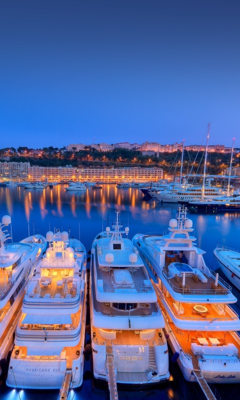 Monaco Hercules Port screenshot #1 480x800