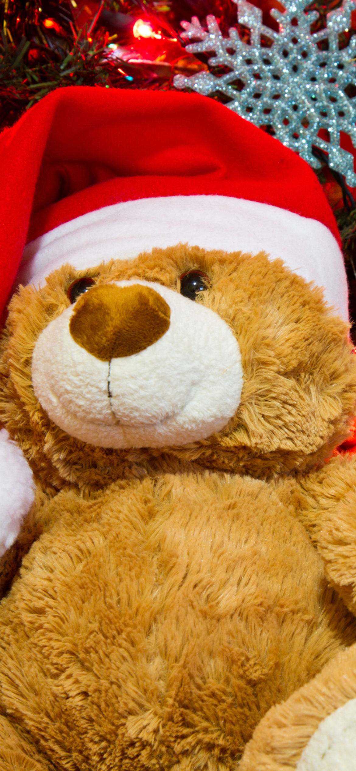 Christmas Teddy Bear screenshot #1 1170x2532