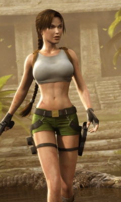 Das Lara Croft Wallpaper 240x400