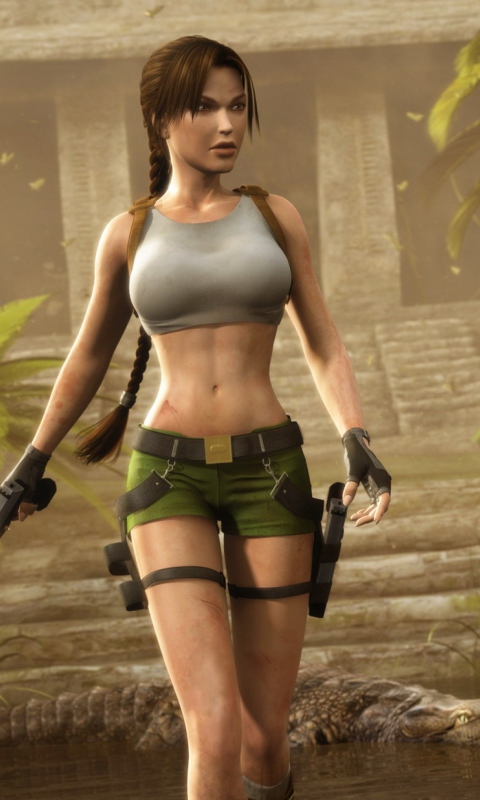 Das Lara Croft Wallpaper 480x800