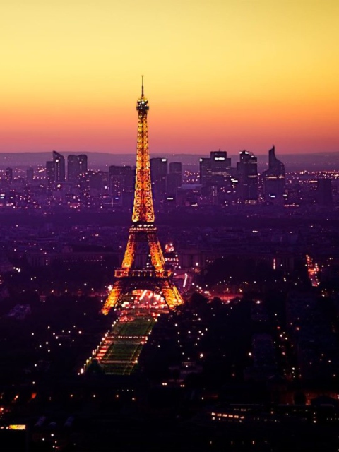 Das Eiffel Tower And Paris City Lights Wallpaper 480x640