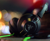 Razer Adaro DJ Analog Headphones screenshot #1 176x144